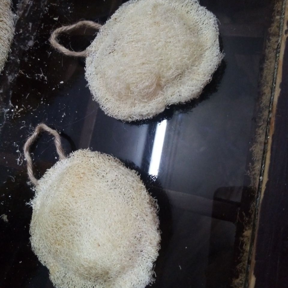 لایه بردار و پد صورت لوفا مدل دایره ای دوطرفه وزن 10 گرم رنگ سفید سایز 8 در 8