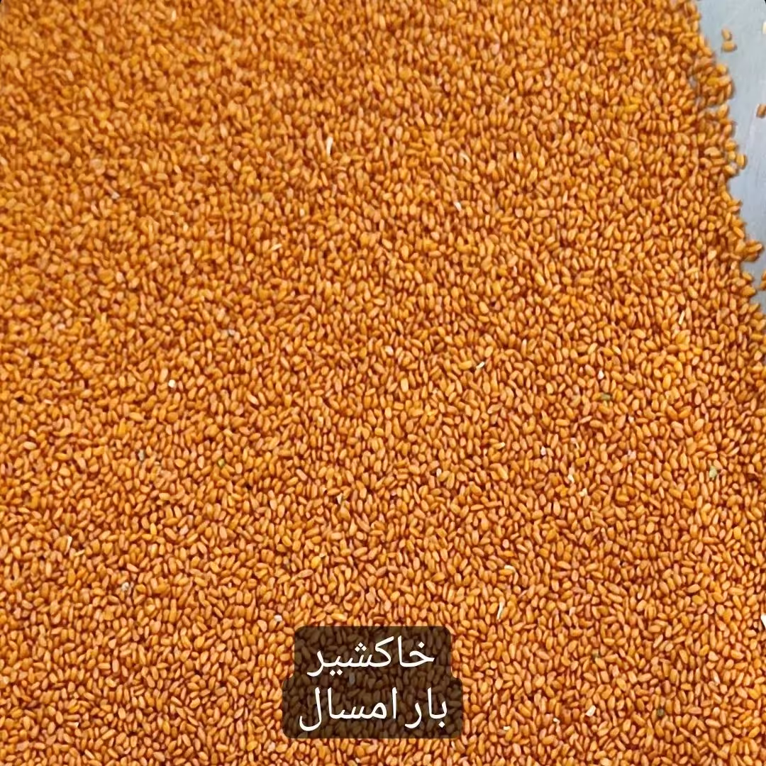 خاکشیر درجه یک 500 گرمی  کیفیت عالی  تمیز شده با لیزر  