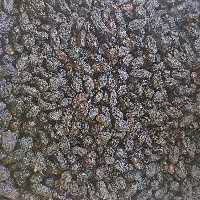 مویز  سیاه (یک کیلویی)