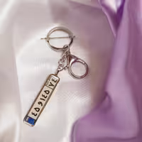 جاسوویچی پلاک ،سرکلیدی پلاک خودرو 