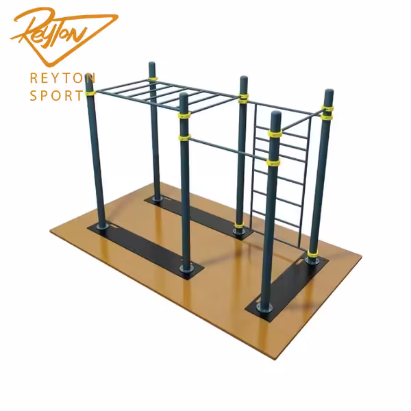 سازه کلیستنیکس PSD-ICSW-04