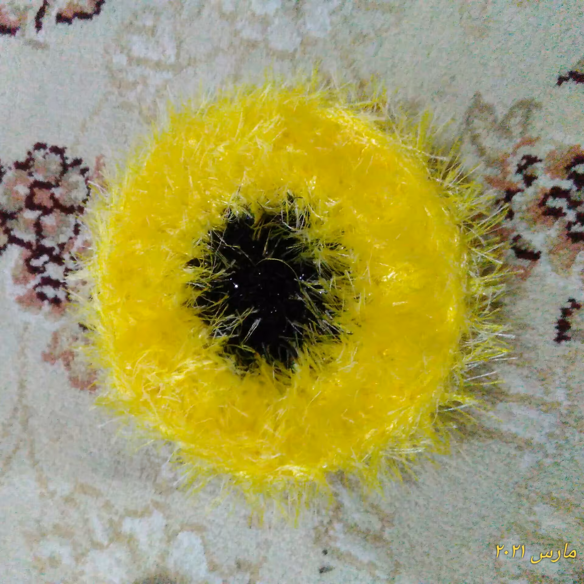 اسکاج خورشیدی کوچک