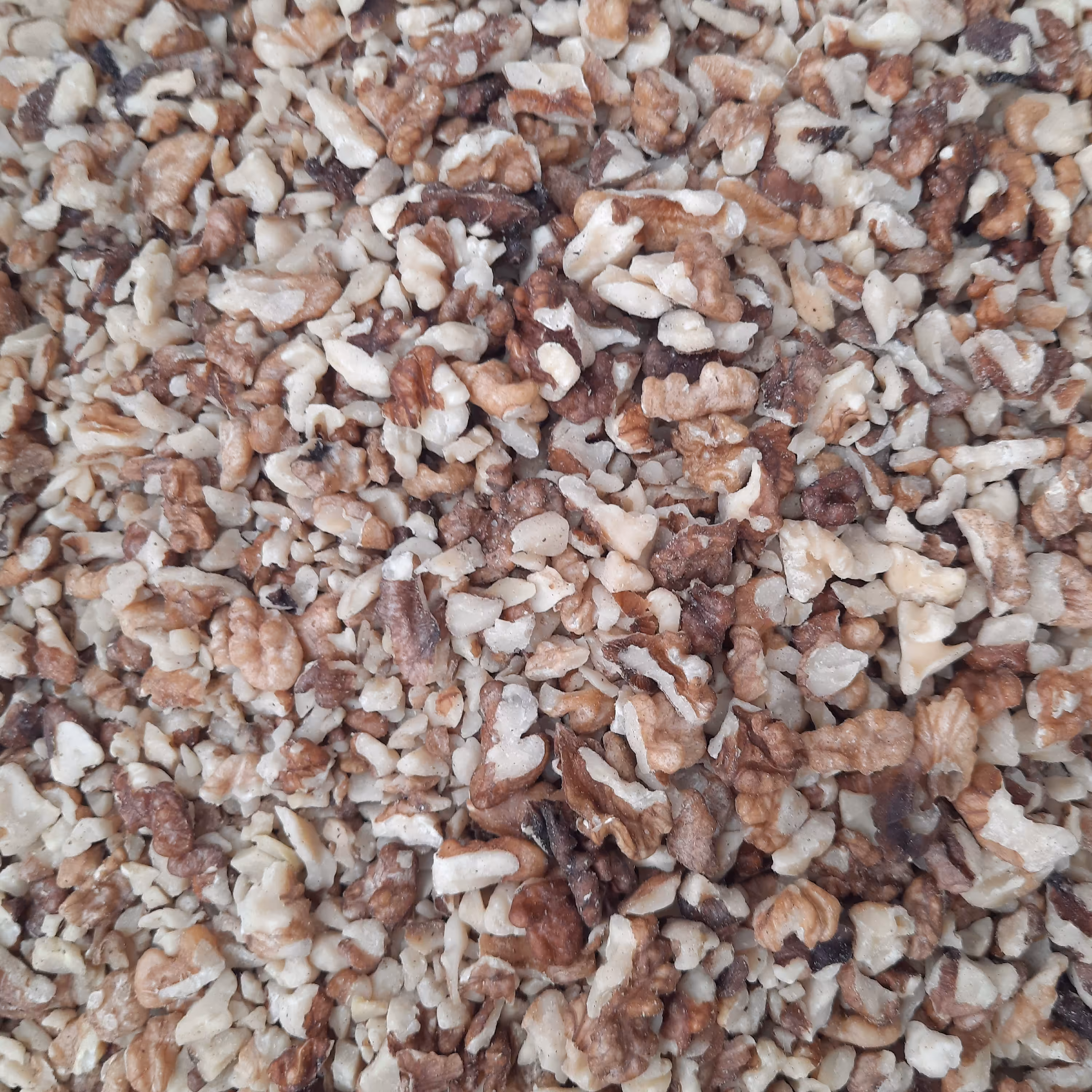 مغز گردوی دندانه