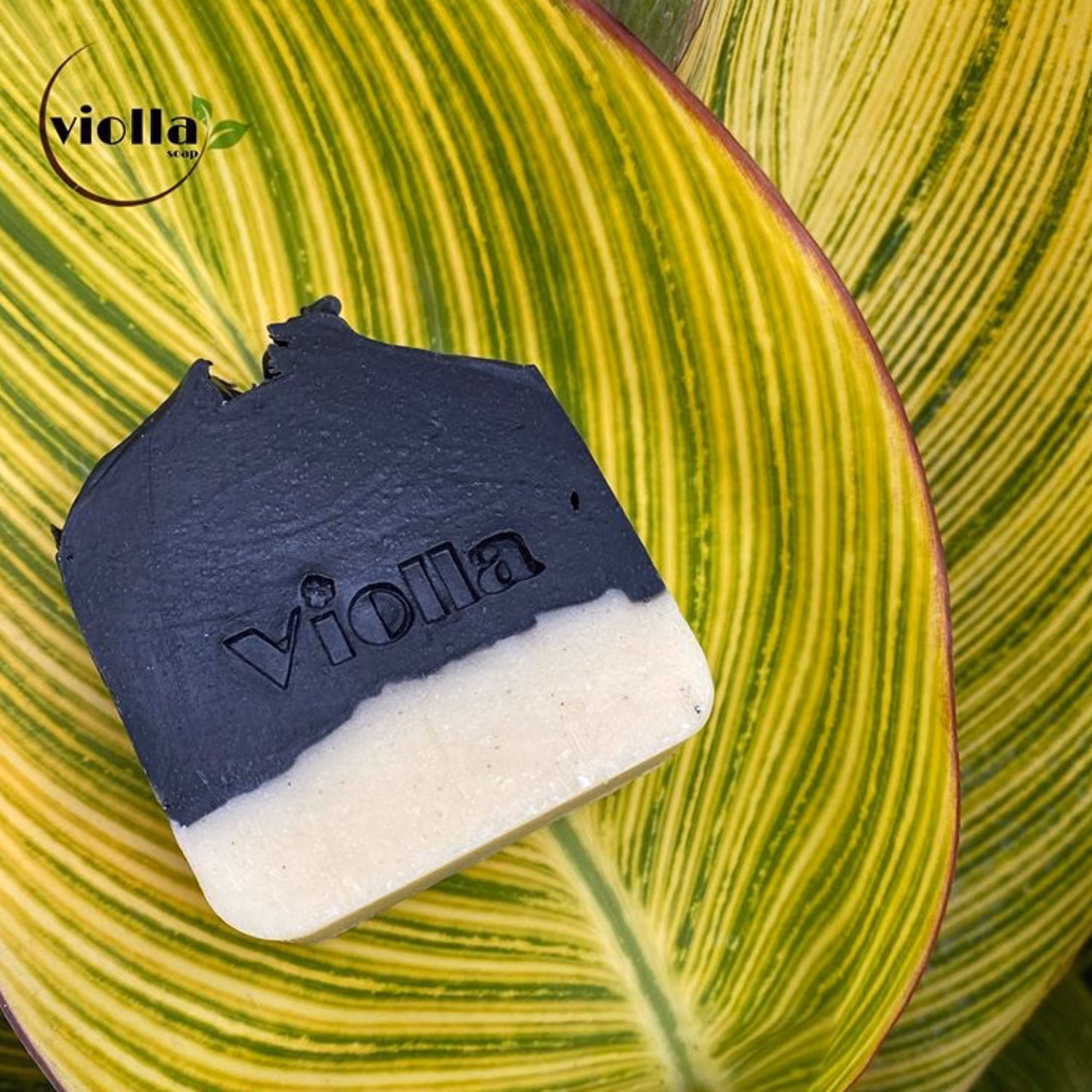 صابون دست ساز گیاهی زغال فعال (پاکسازی عمیق پوست)