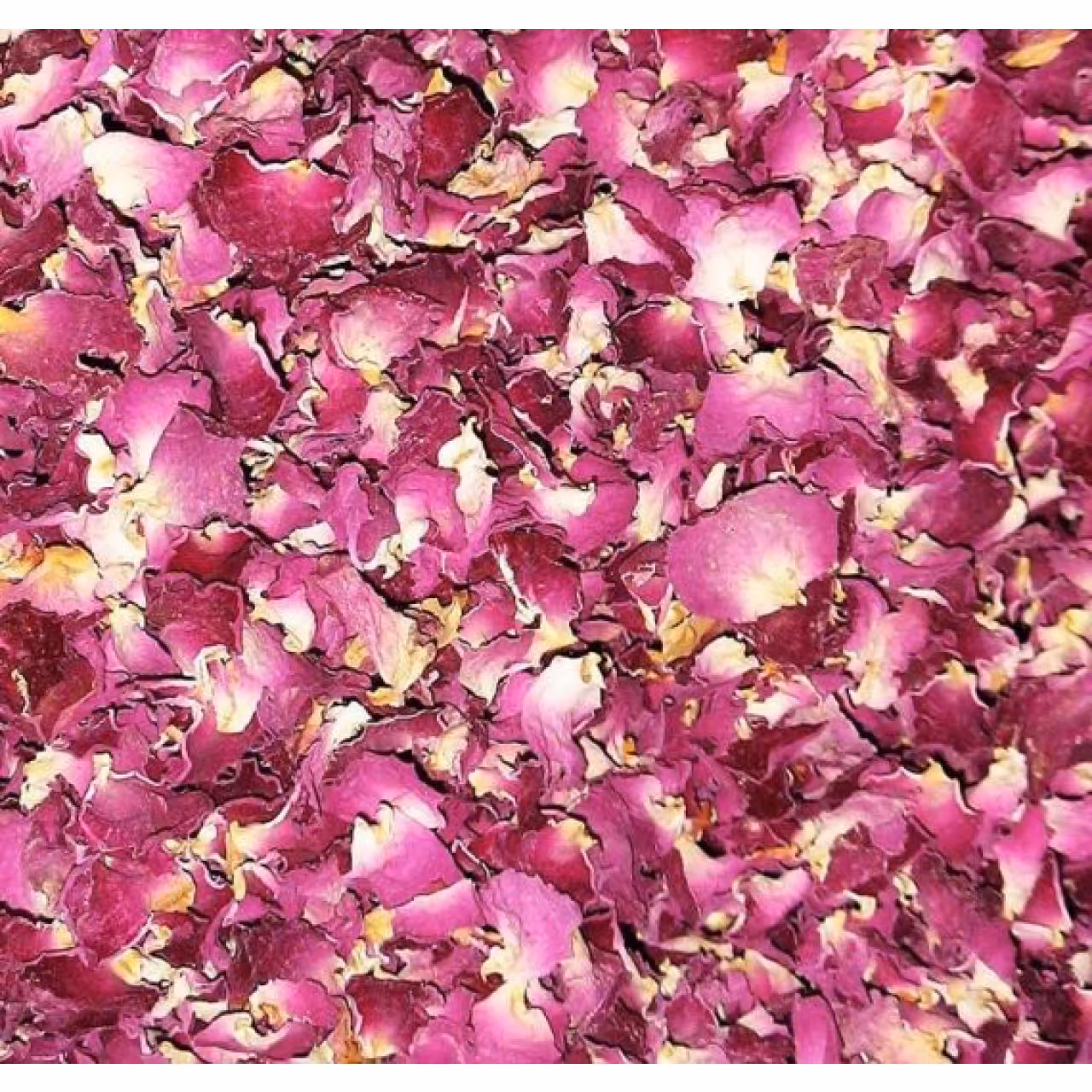 گل محمدی خشک 50 گرم