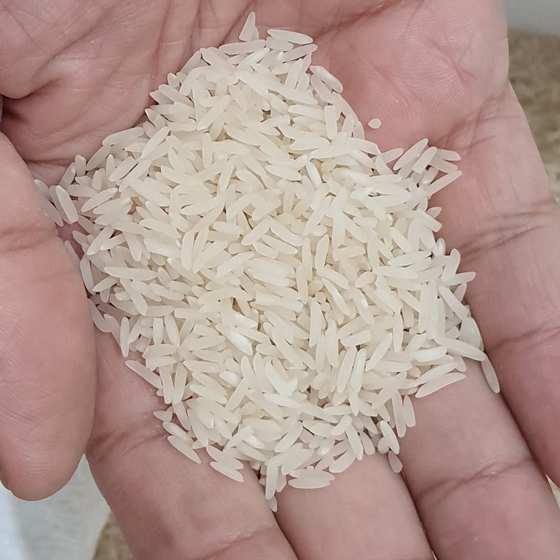 برنج فجر 5 کیلویی سورت شده و بوجار صفر