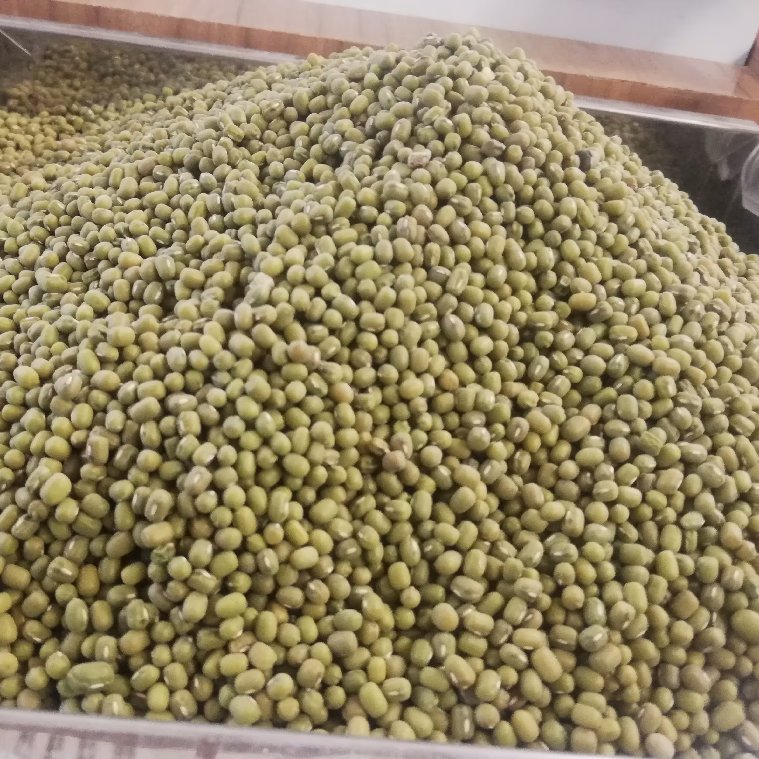 ماش اعلا (2 کیلوگرمی) ارسال رایگان)