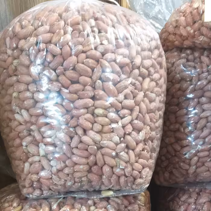 بادام زمینی تازه دوکیلویی تازه آستانه اشرفیه