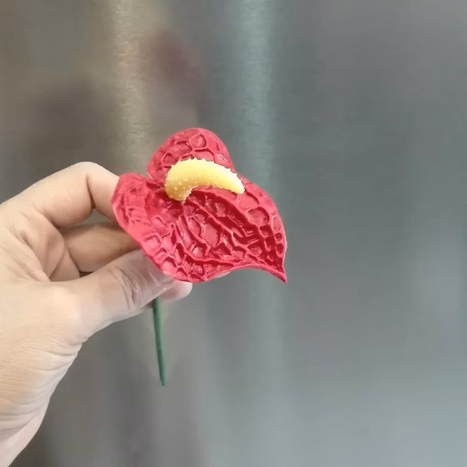 گل آنتریوم قرمز خمیری (ارتفاع ساقه 25)            .