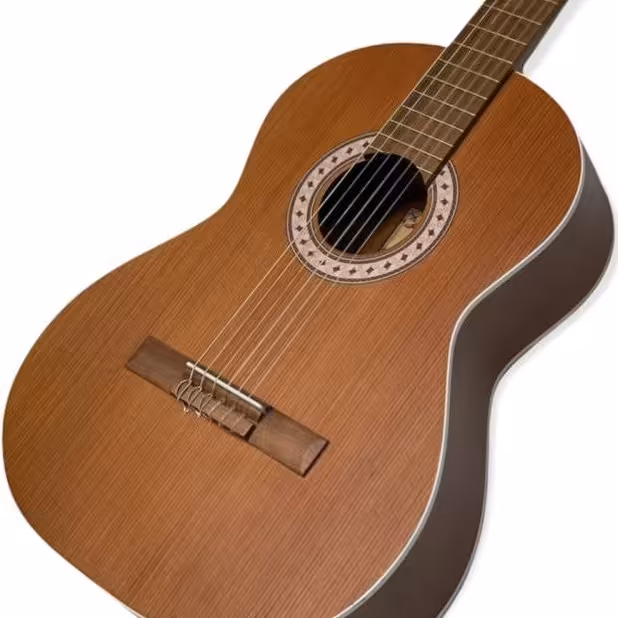 گیتار پارسی m6