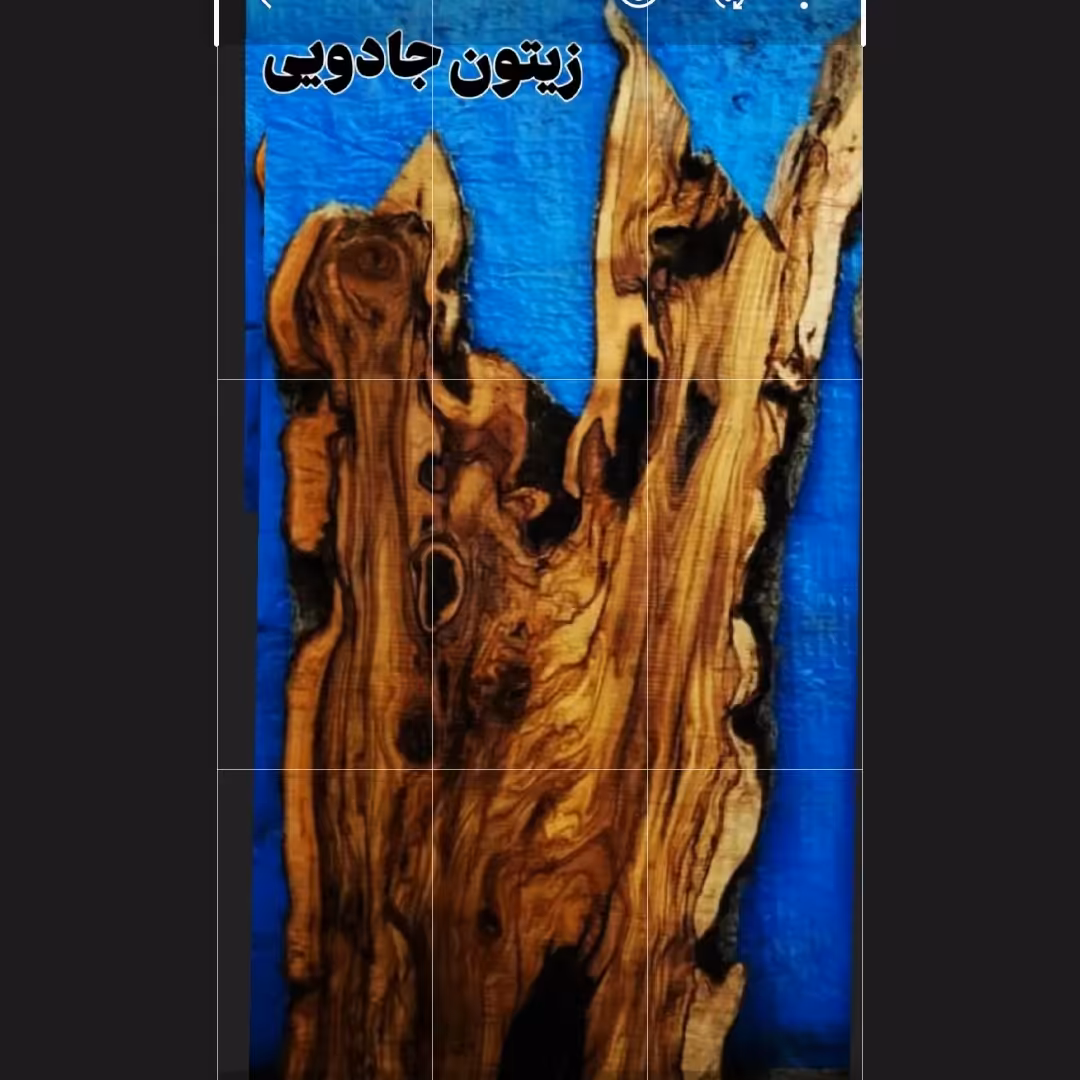 چوب زیتون خاص