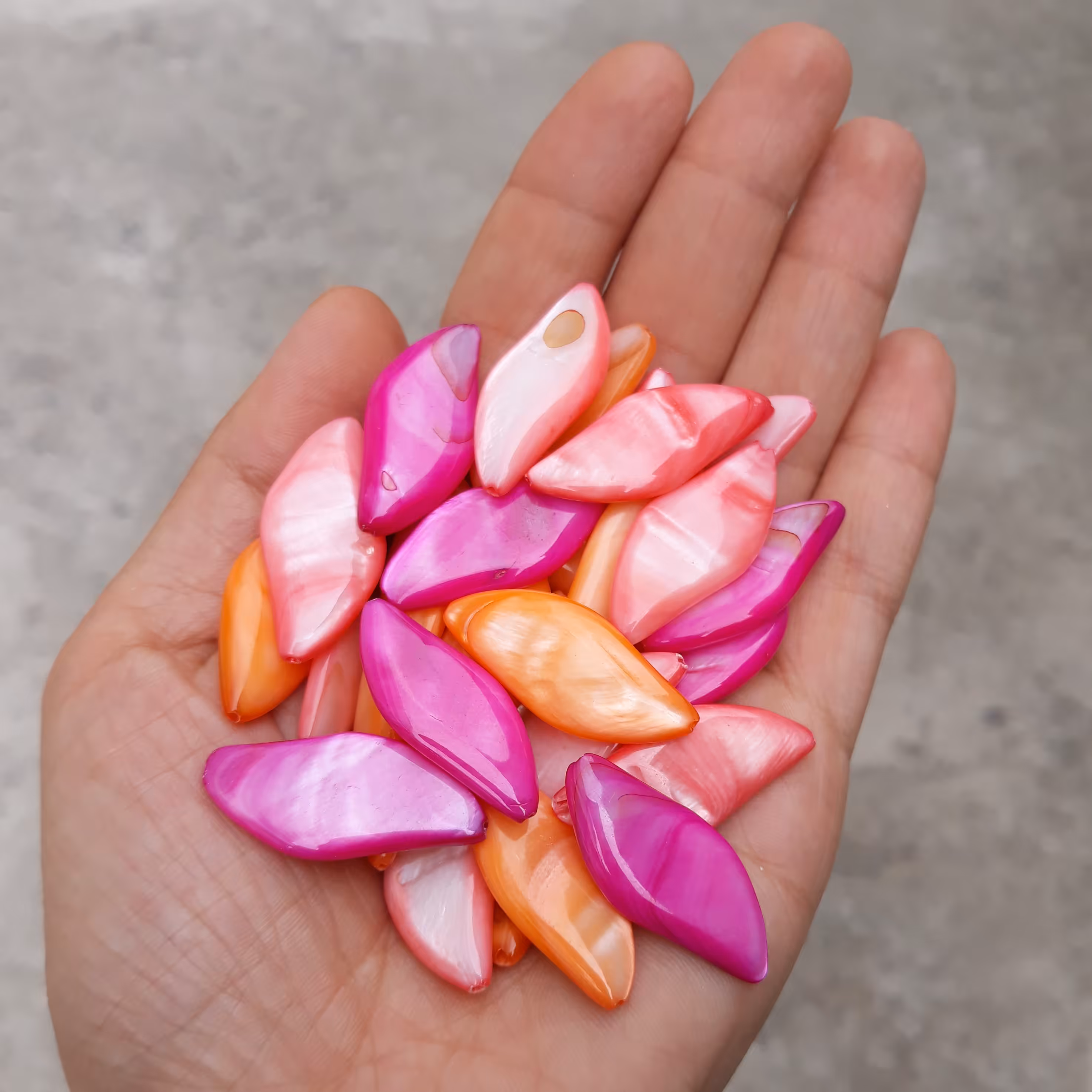 صدف شکلی در سه رنگ قیمت برای هر یک عدد محاسبه شده