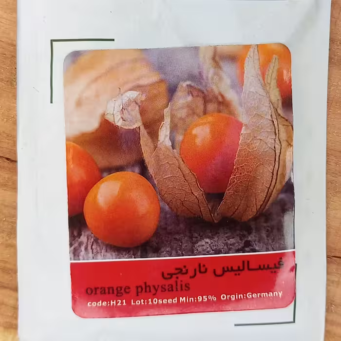 بذر فیسالیس نارنجی