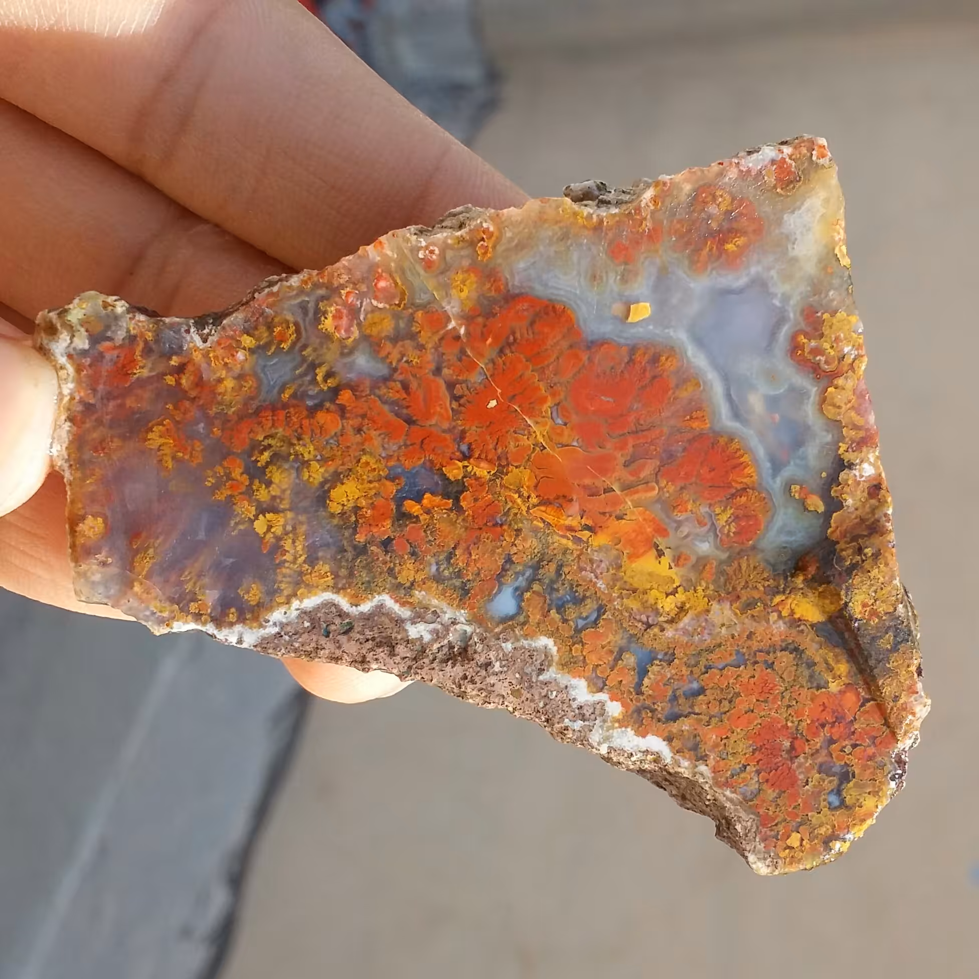 اسلایس سنگ راف عقیق شجر منظره با شجرهای بسیار واضح با قابلیت ساخت چند نگین 
 100 در 100 طبیعی  
کد 11665