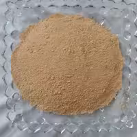 پودر کشک بیرجندی2