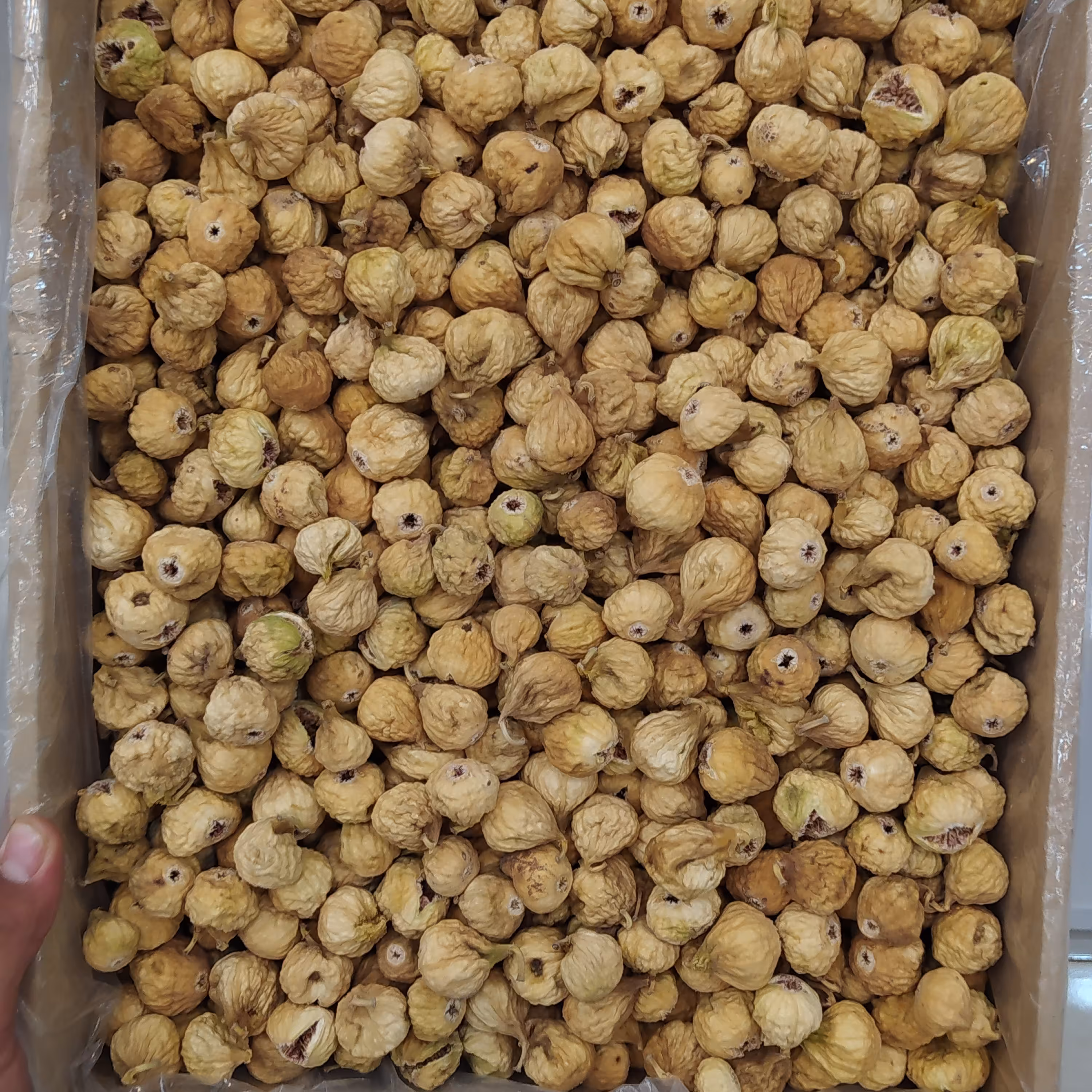 انجیر AAAوAA محصول 1401 (مستقیم از عمده فروش استان 