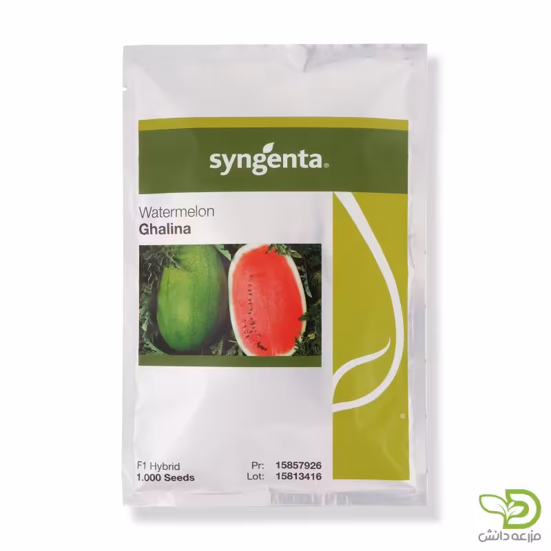 بذر هندوانه قالینا سینجنتا