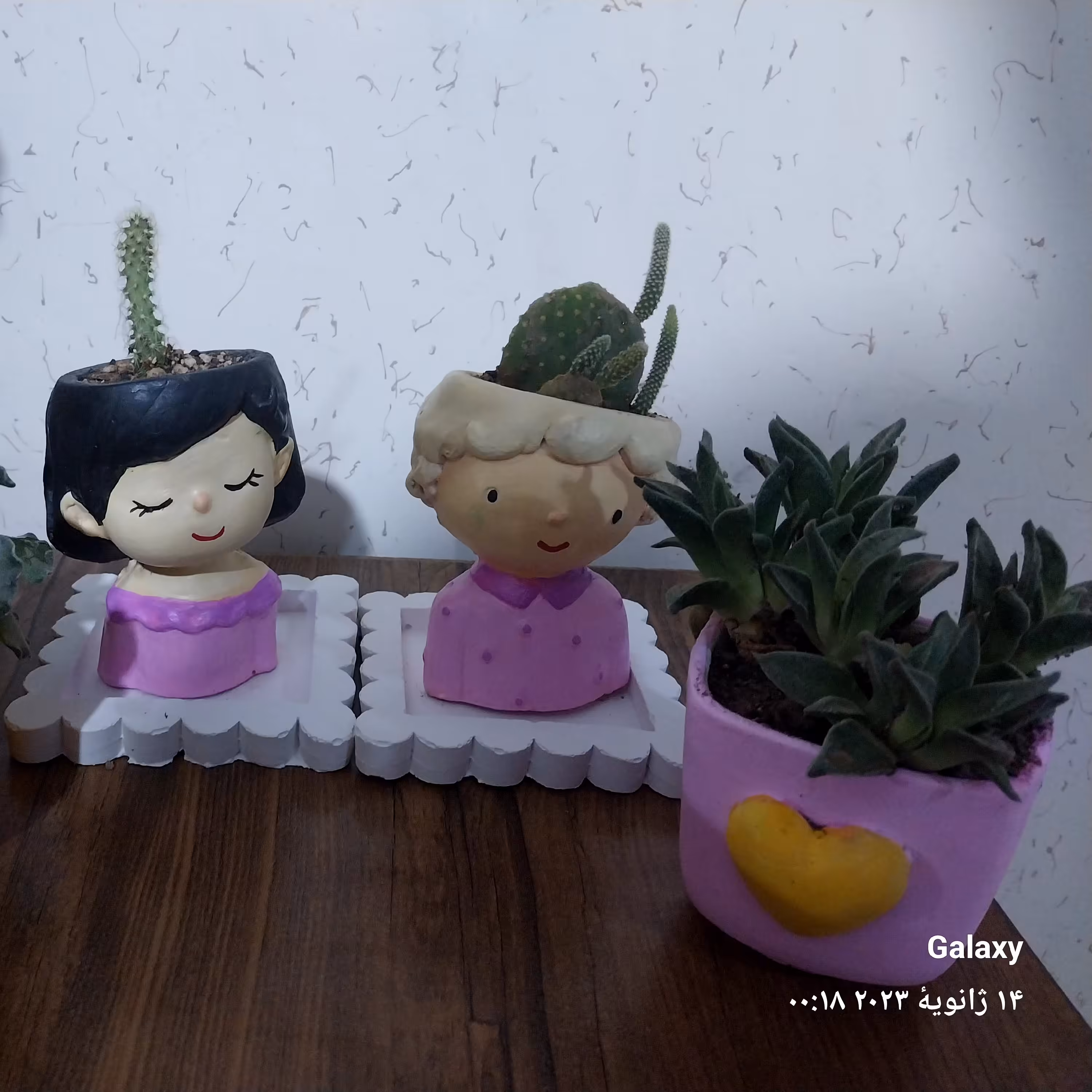 انواع گلدان کاکتوس فانتزی دختر و پسر 