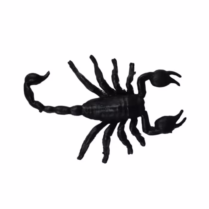 ابزار شوخی طرح عقرب