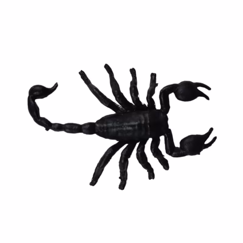 ابزار شوخی طرح عقرب