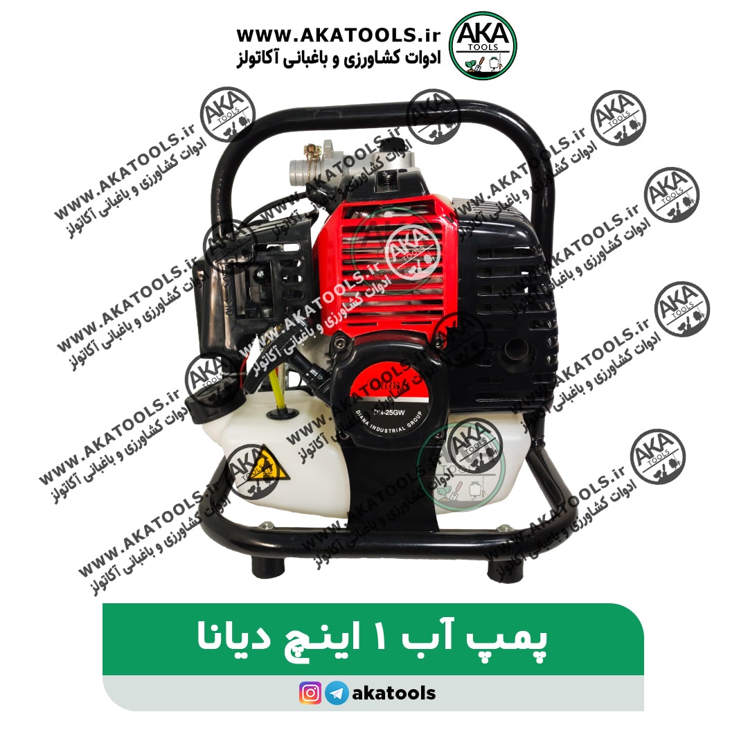 پمپ آب 1 اینچ دیانا