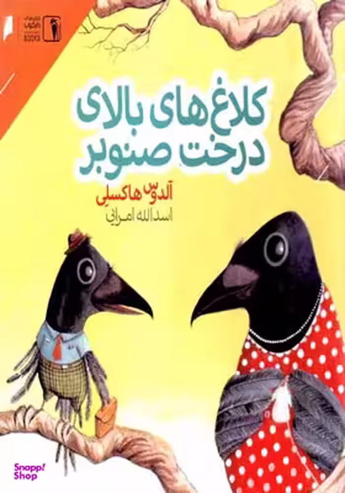 کلاغ های بالای درخت صنوبر