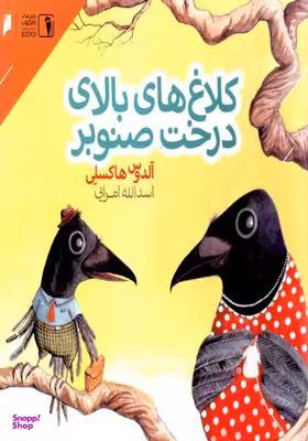 کلاغ های بالای درخت صنوبر
