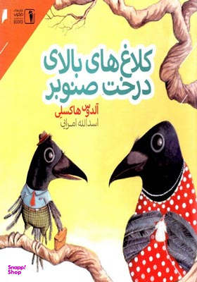 کلاغ های بالای درخت صنوبر