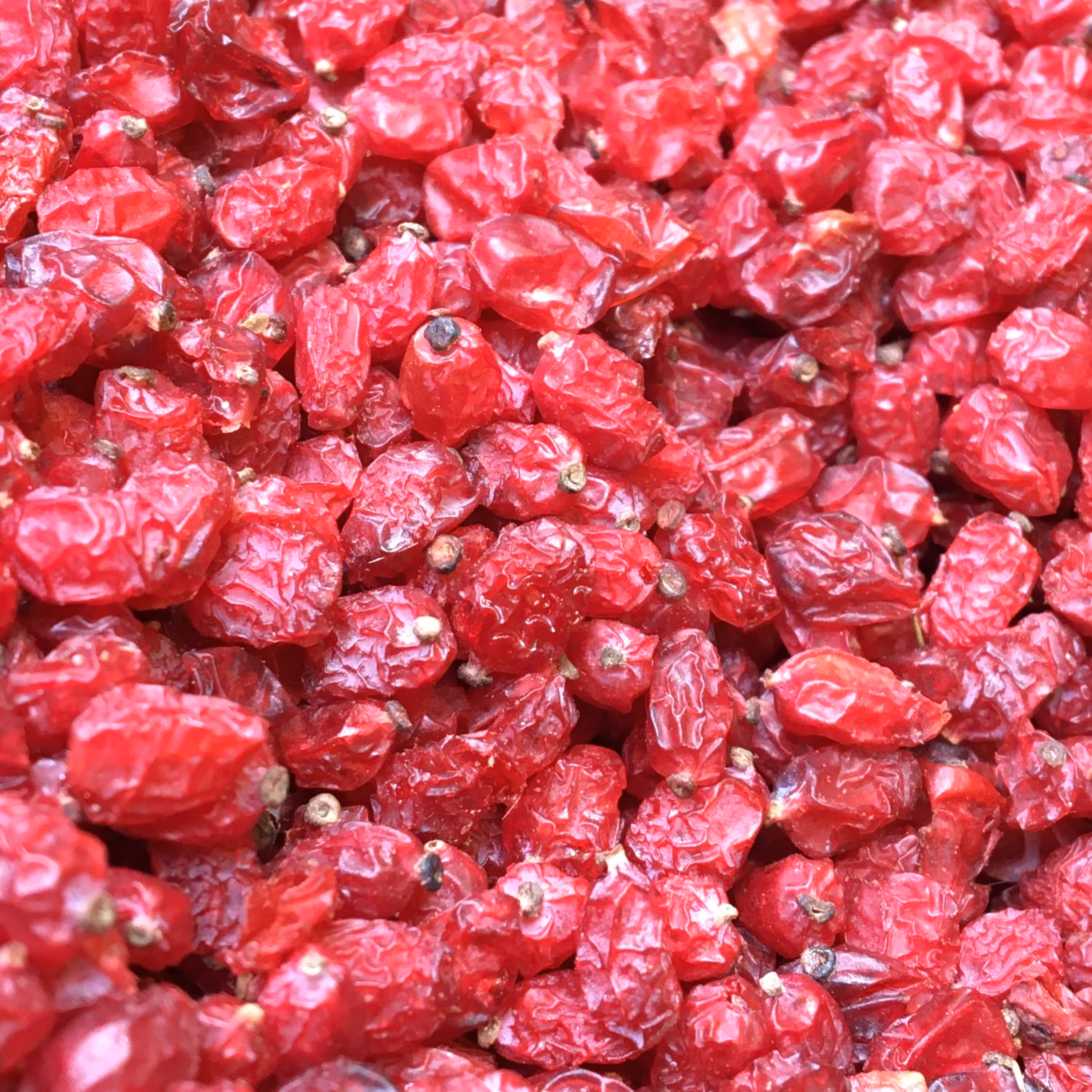 زرشک خشک پفکی  5کیلوگرم( مخصوص توزیع کنندگان)