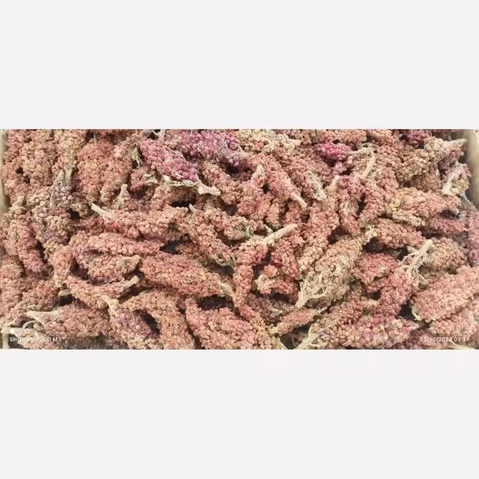 سماق قرمز خوشه ای نیم کیلویی