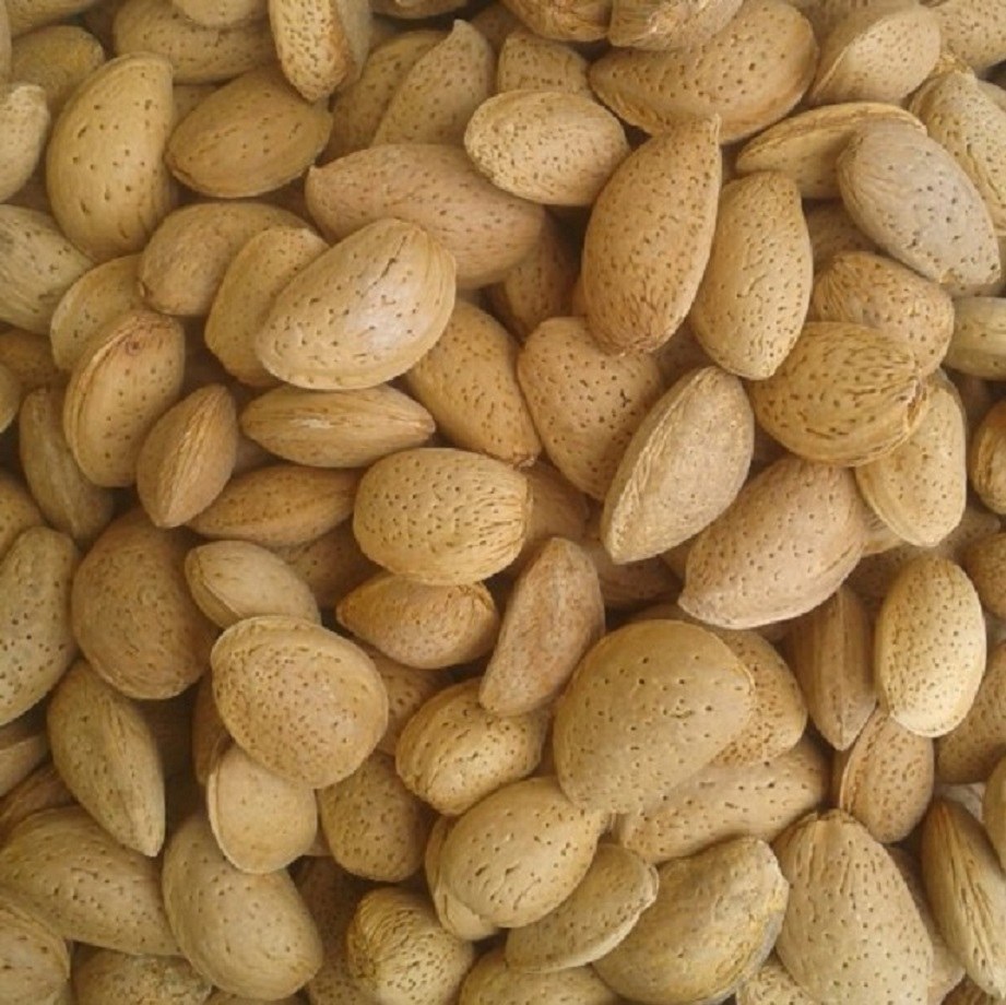 بادام سنگی یک کیلویی