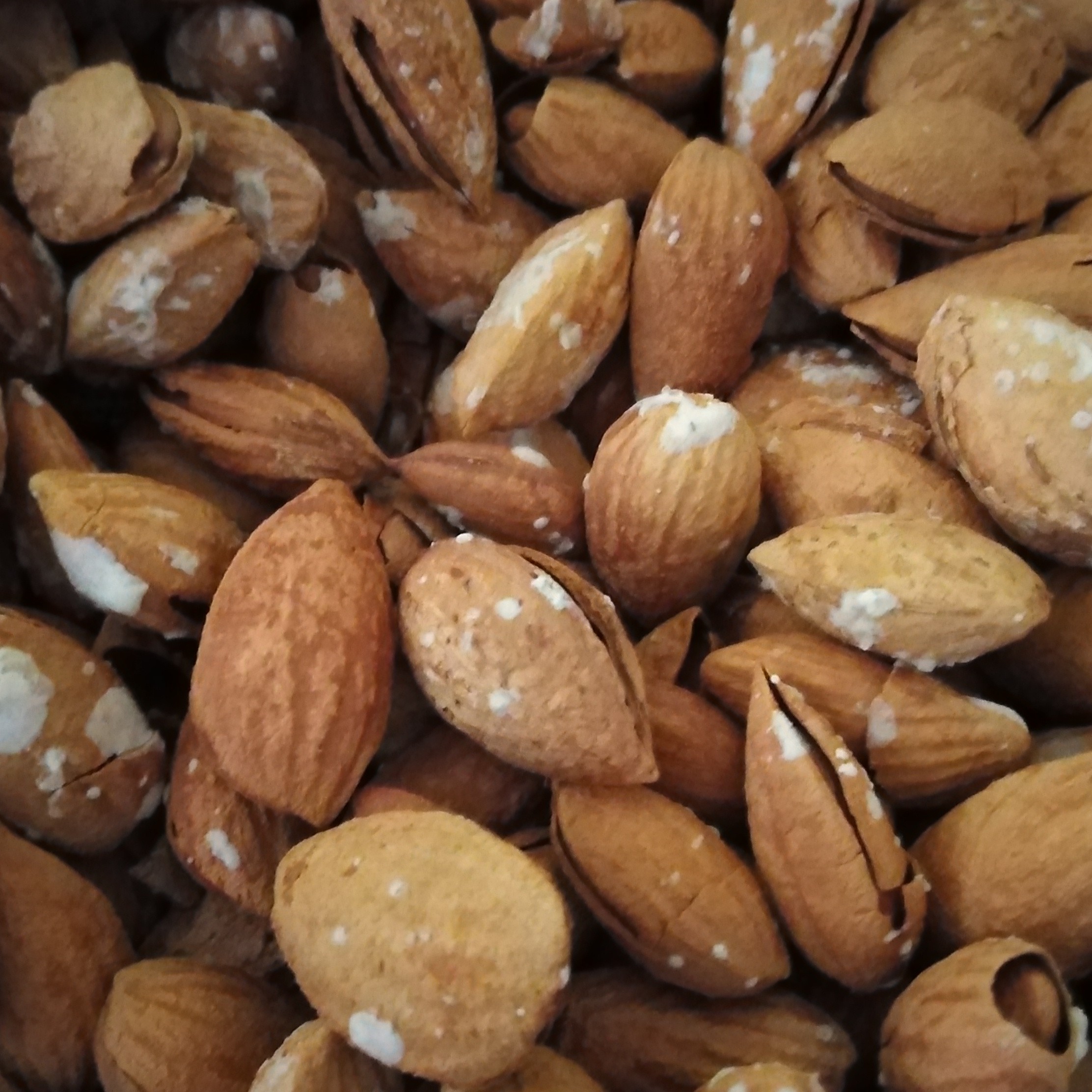 بادام پوست کاغذی خارجی منقا