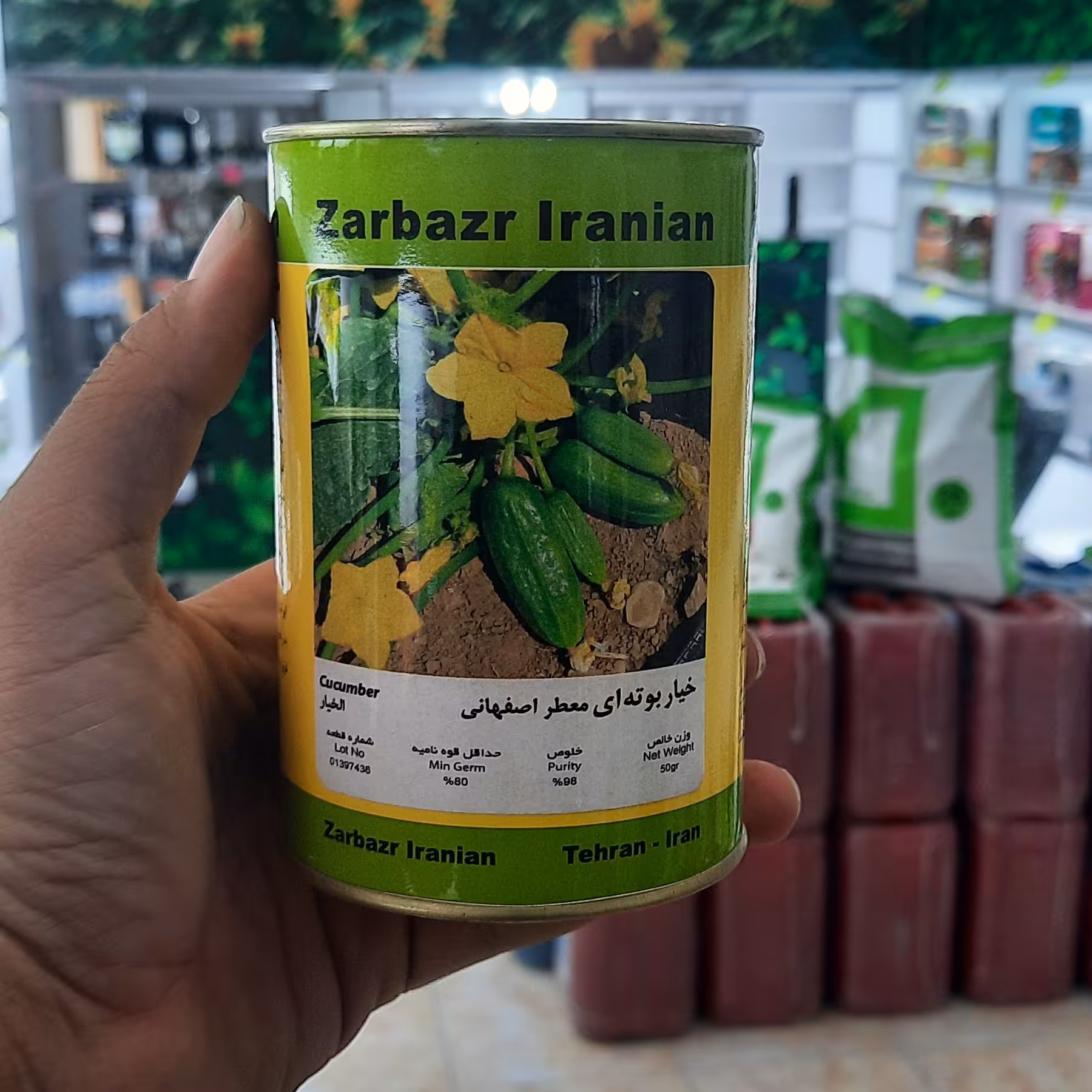 بذر خیار معطر