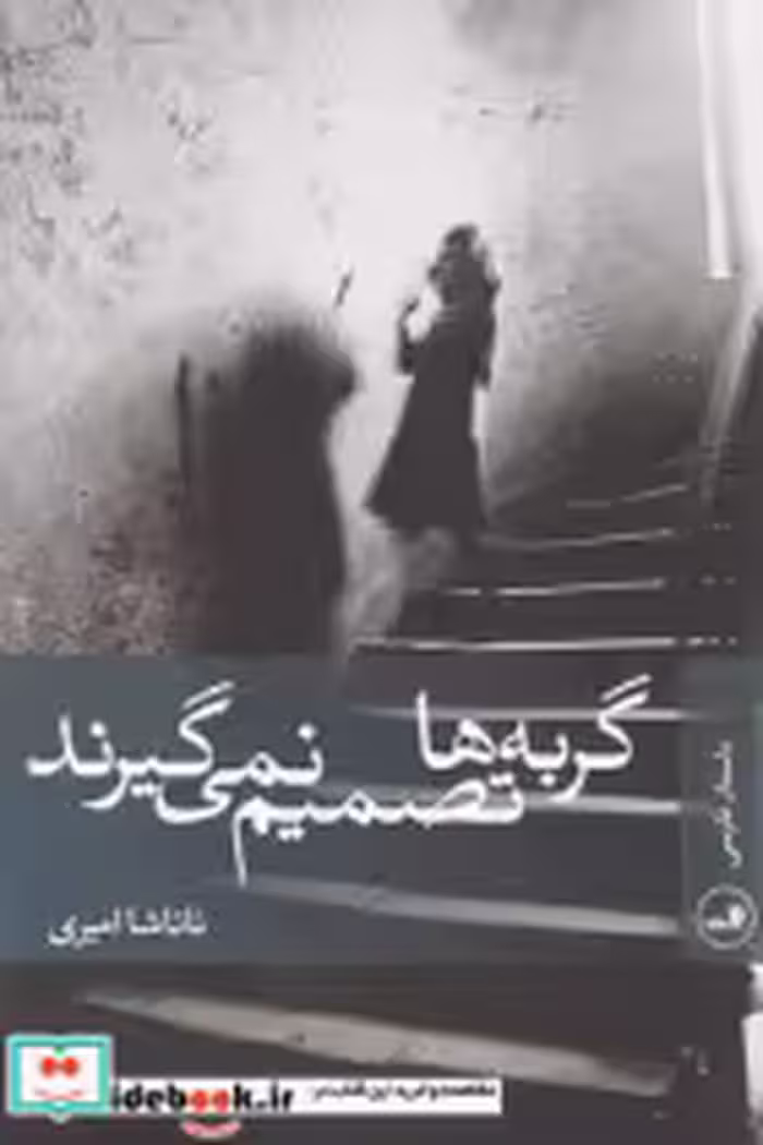 قیمت و خرید کتاب گربه ها تصمیم نمی گیرند | ایده بوک