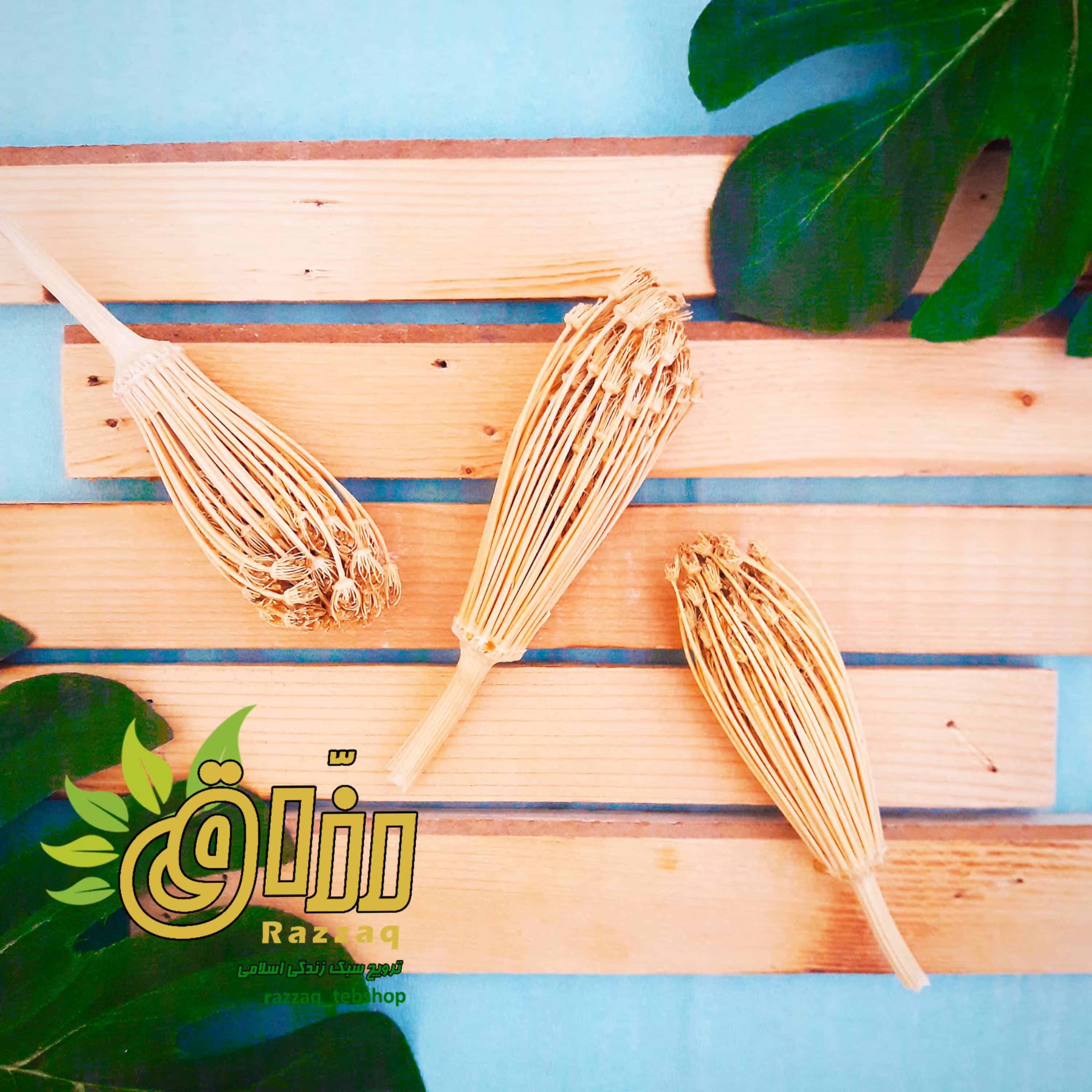 خلال دندان (خلال منصوب به پیامبر اکرم)