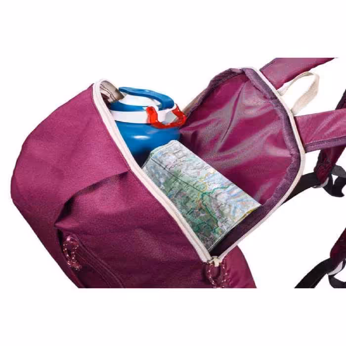 کوله پشتی بنفش مردانه و زنانه 10 L Plum Color NH100 8502157 Decathlon