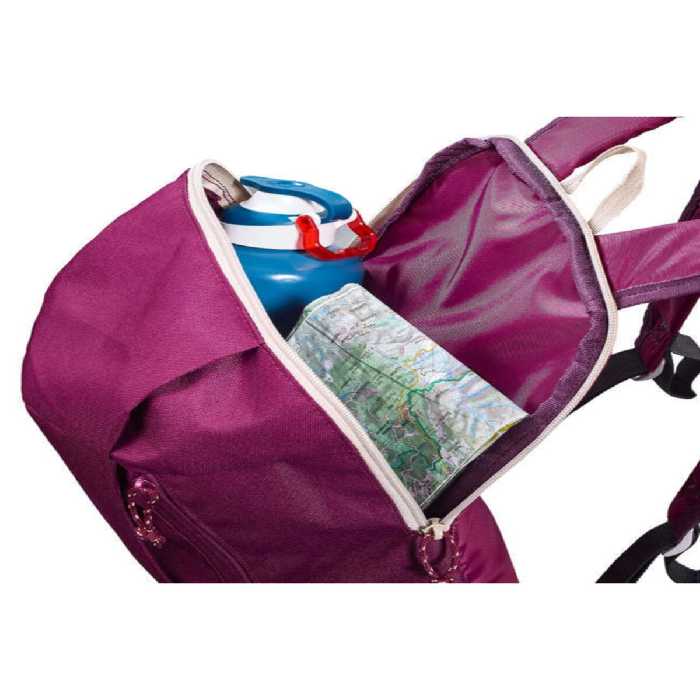 کوله پشتی بنفش مردانه و زنانه 10 L Plum Color NH100 8502157 Decathlon