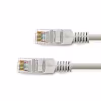 کابل شبکه 2 متری CAT5E لمونتک (CAT 5)