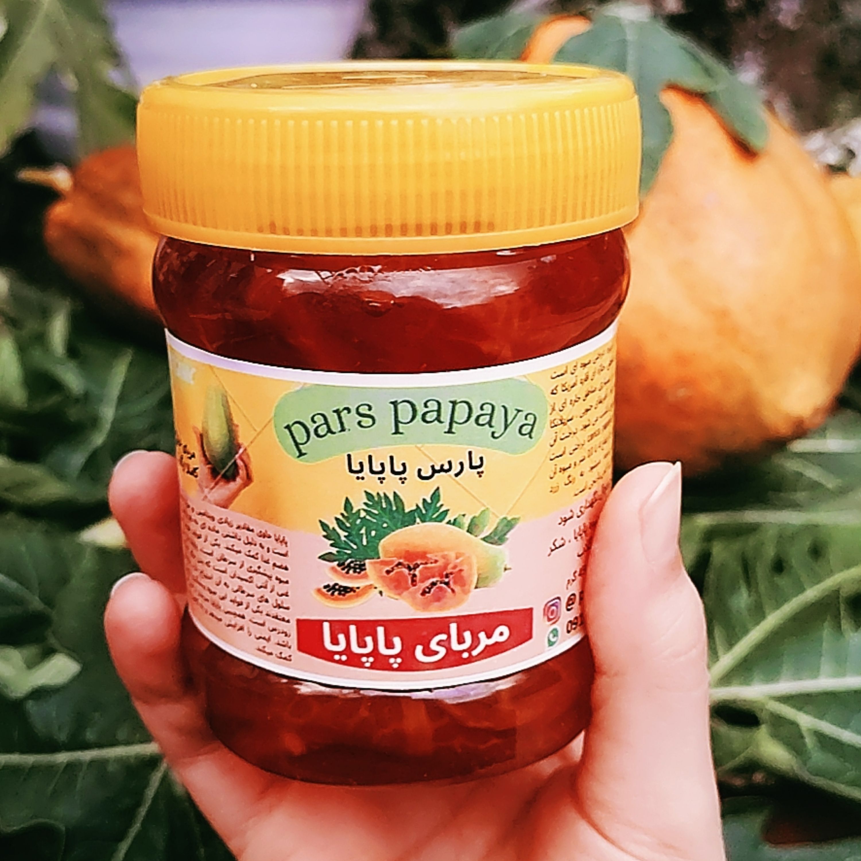 مربای پاپایا 450 گرمی بسیار مقوی و خوشمزه و بهداشتی و ارگانیک