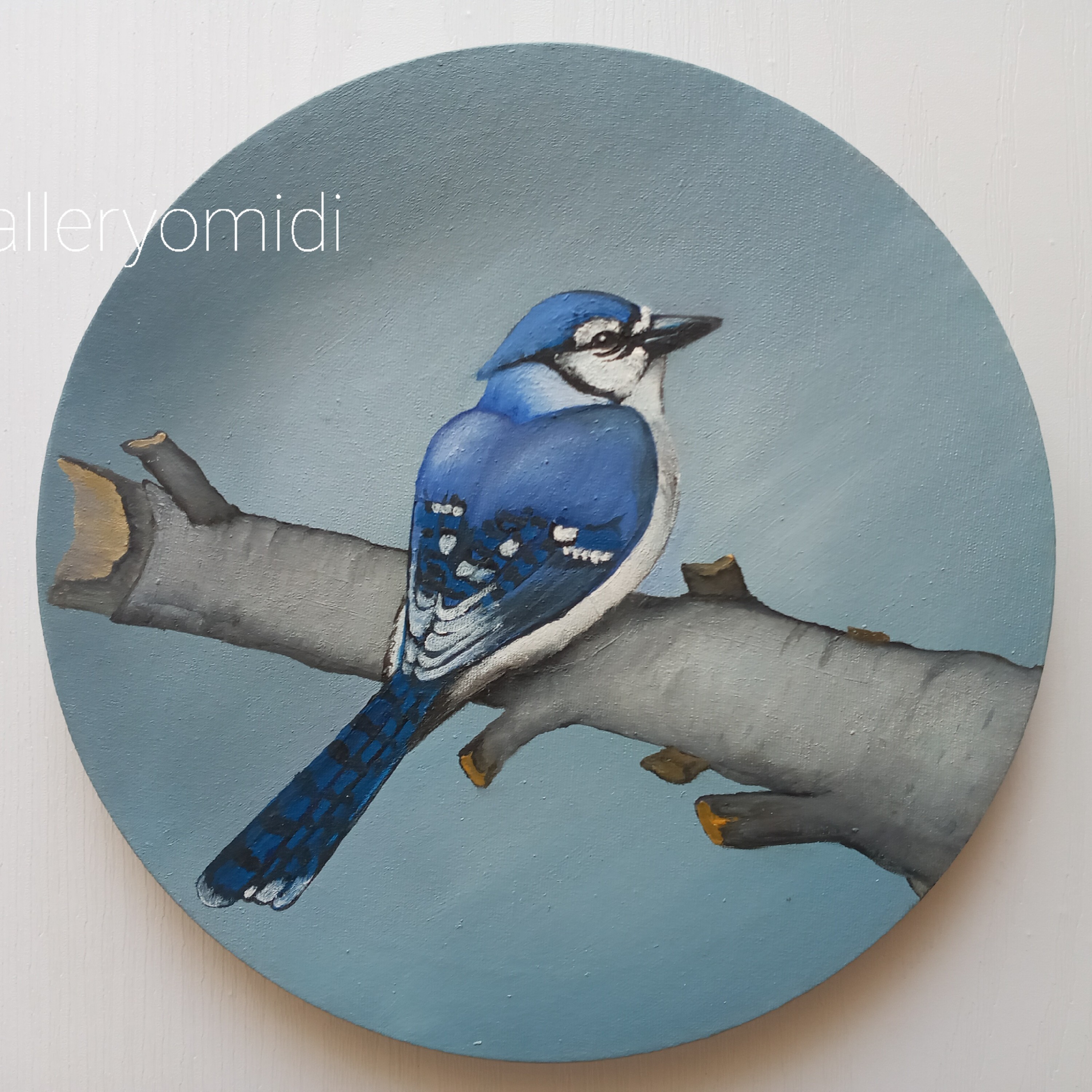 تابلو نقاشی رنگ و روغن روی بوم گرد قابل اجرا با طرح و ابعاد دلخواه 