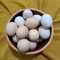 تخم مرغ محلی زرد وکاملا ارگانیک 