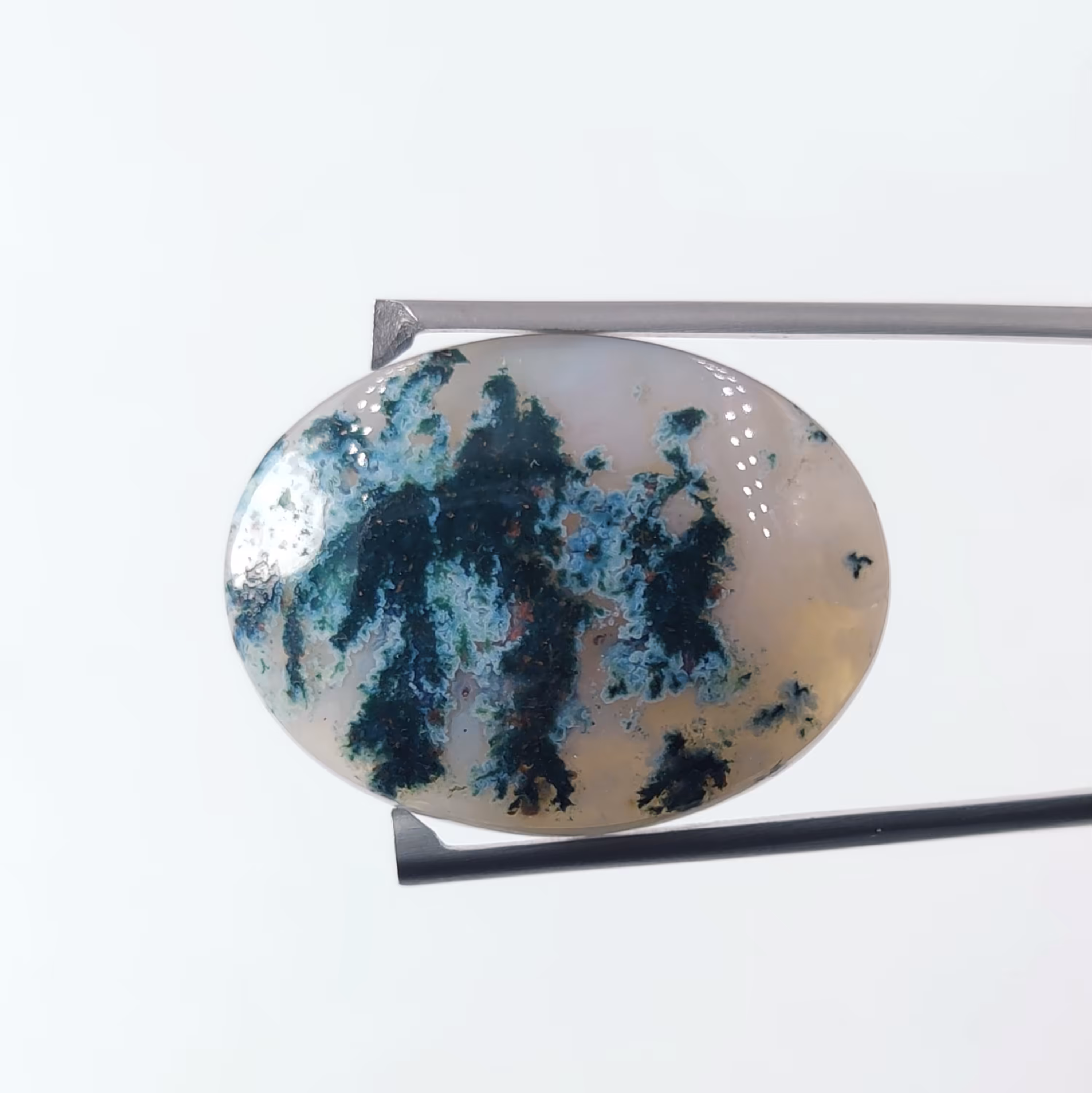 نگین عقیق شجر معدنی منظره جنگل های سوزنی برفی