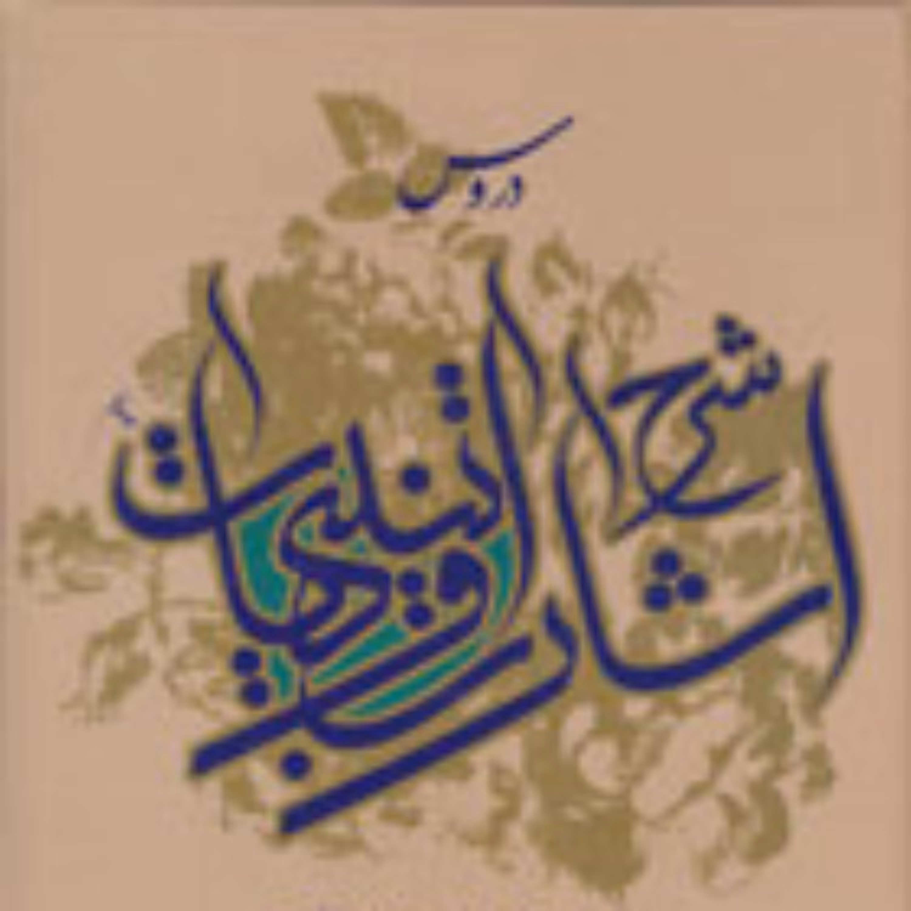 کتاب شرح اشارات و تنبیهات نمط سوم دوره 2 جلدی