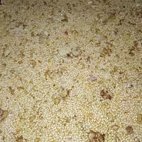 سوهان گردویی سادات