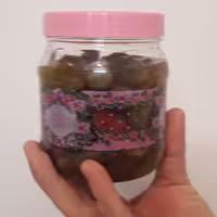 ترشی خانگی لگجی(دَک) پاک کننده کبد(500 گرمی)