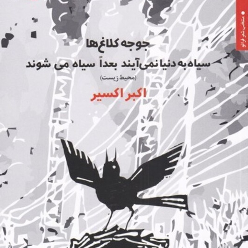 کتاب جوجه کلاغها سیاه به دنیا نمیآیند بعدا سیاه