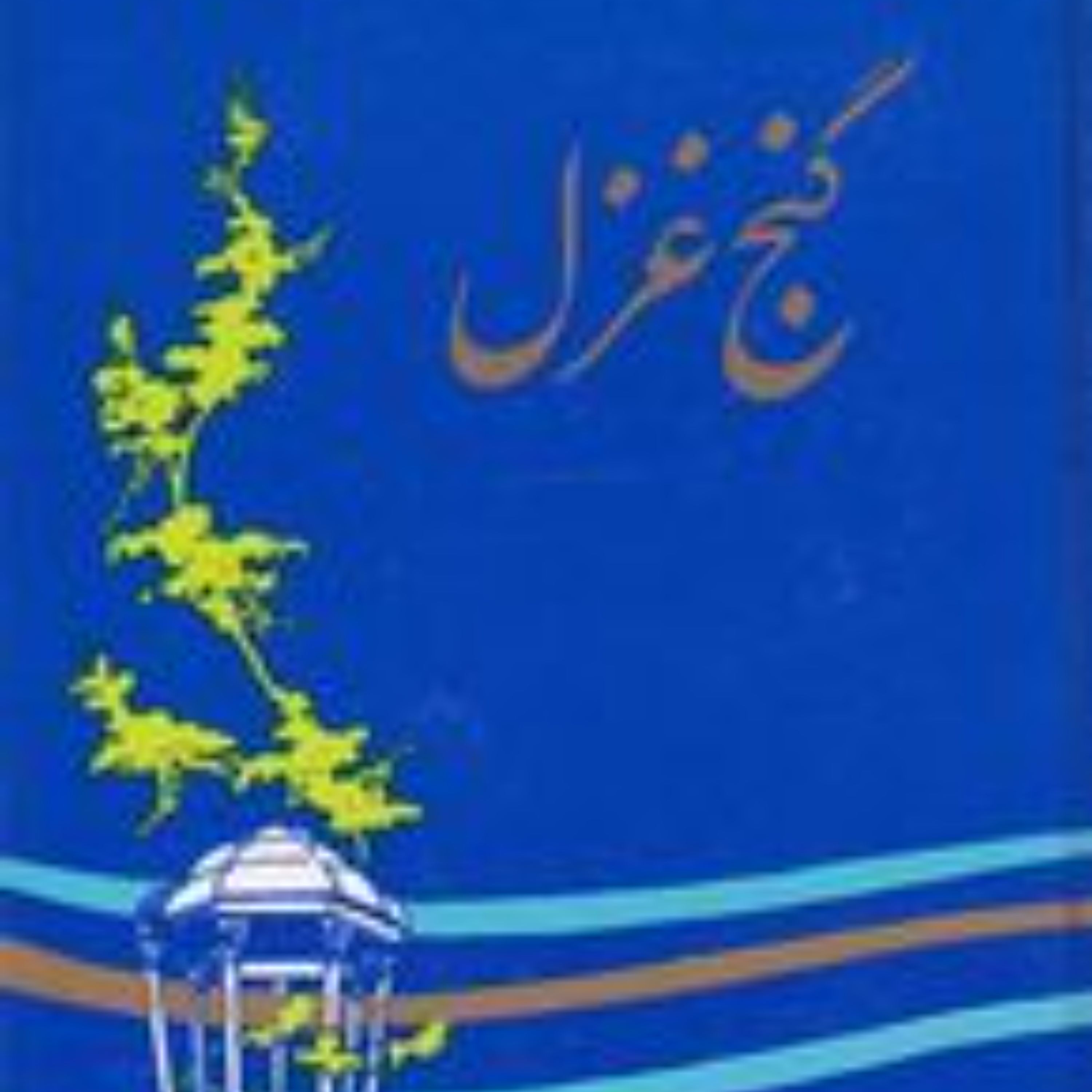 کتاب گنج غزل (سنایی) رقعی سلفون