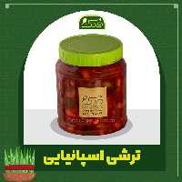 ترشی اسپانیایی 5ستاره