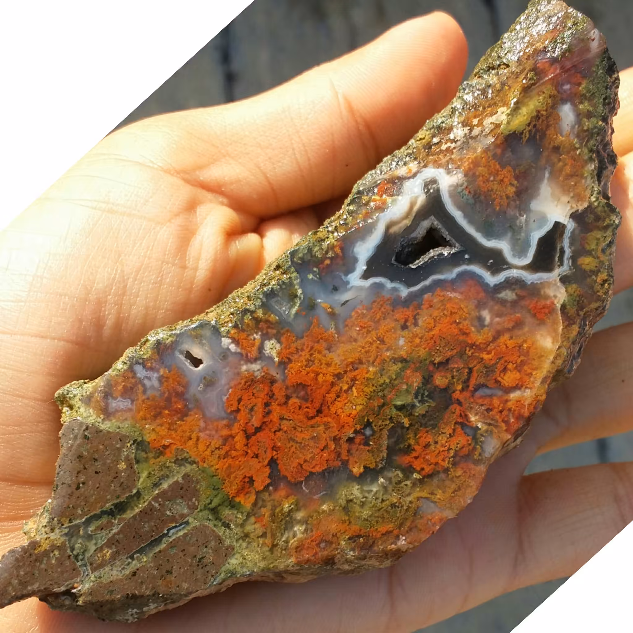 اسلایس سنگ راف عقیق شجر دریایی 7رنگ بسیار دیدنی شاهکار خلقت کاملا طبیعی
با قابلیت ساخت چندین نگین دیدنی و محشر
 کد 81120