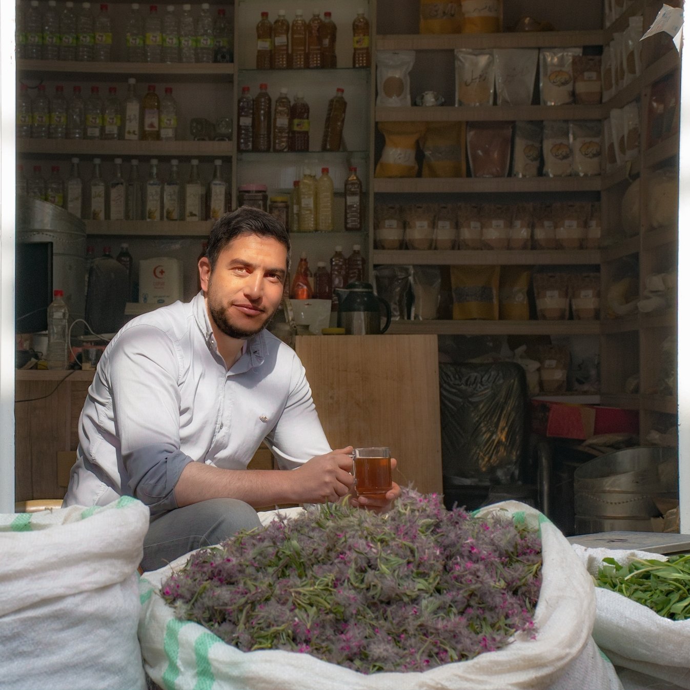 چای کوهی